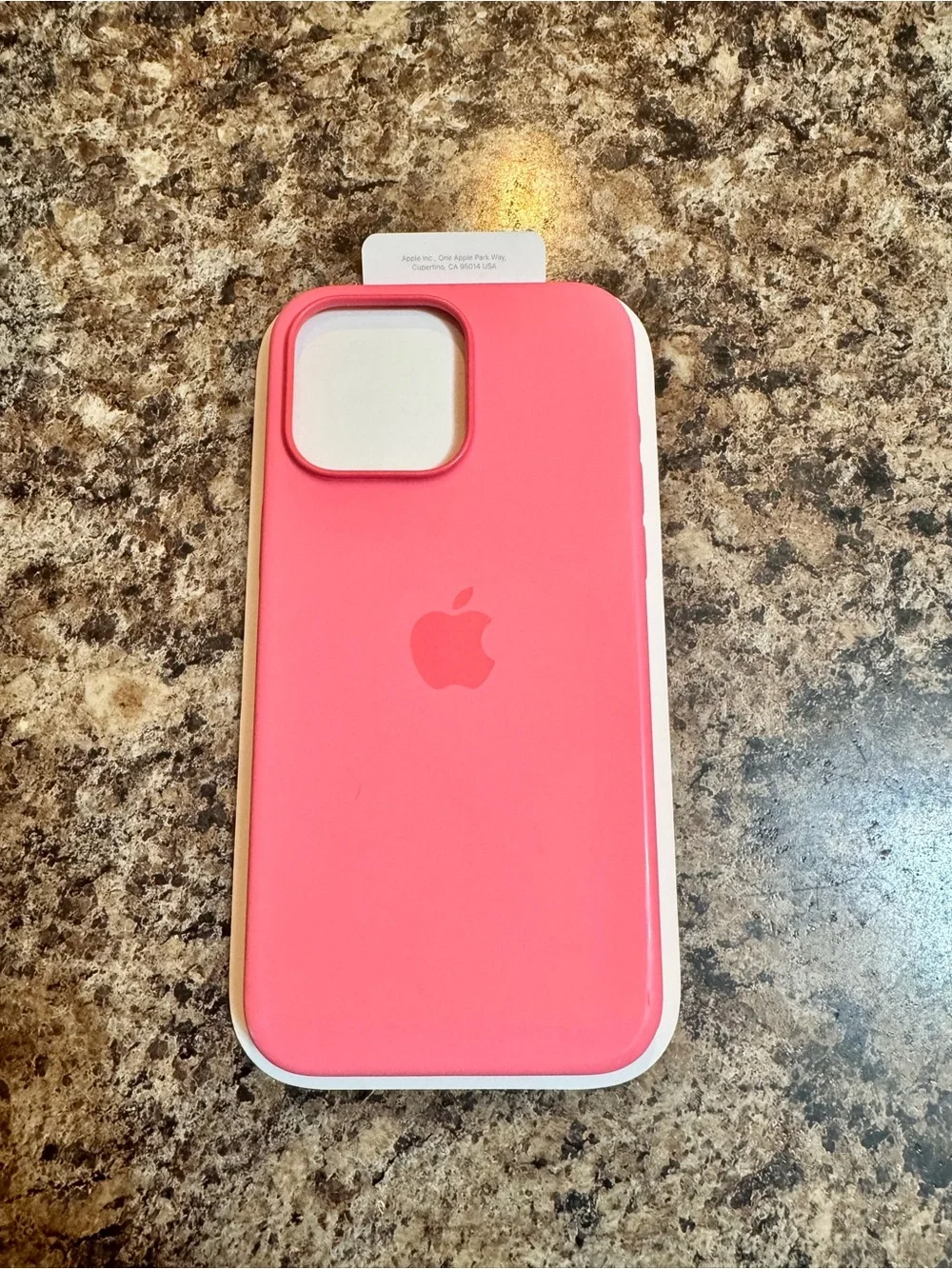 iPhone 15 Pro Max Silicone Case
